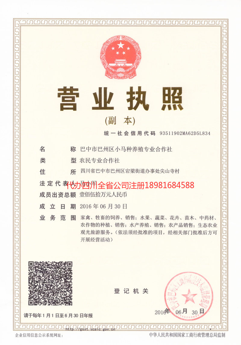 大同大同小马种养殖专业合作社